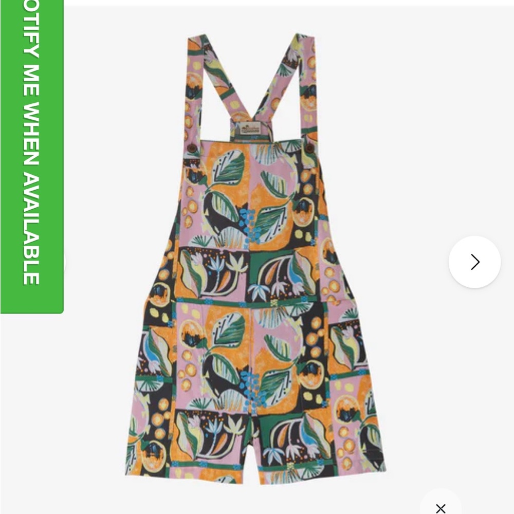 Patagonia Overalls